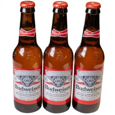Cervezas domesticas